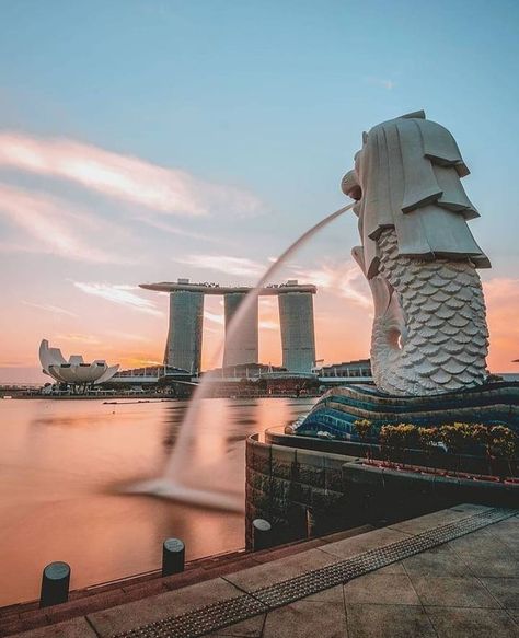 Singapore Moodboard, Singapore Background, Aesthetic Singapore, Singapore Aesthetic, Singapore Vacation, Singapore Trip, Singapore Photos, Flight Booking, Singapore Travel