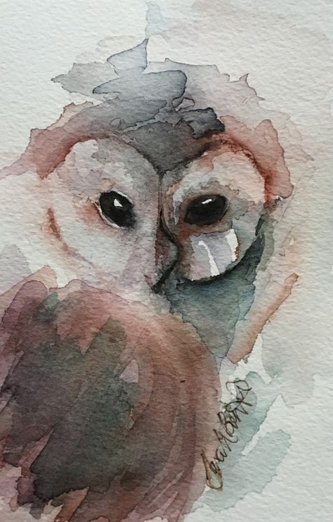 Watercolour Owl Painting, Watercolor Art Owl, Watercolour Animals Easy, Watercolor Animals Easy, Waterpaint Ideas, Watercolour Owl, Watercolour Birds, Owl Watercolor, Bird Watercolor Paintings