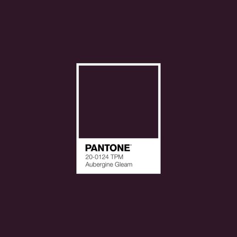 Aubergine Color Palette, Aubergine Colour, Deep Autumn Color Palette, Aubergine Color, Pantone Colour Palettes, Blue Paint Colors, Blue Colour Palette, Graphic Design Fun, Color Swatch