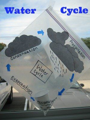 DIY Tutorial: Fog, water, rain! Create your own water cycle in a plastic bag Water Cycle Activities, Science Experience, Clouds And Rain, Water Rain, Weather Unit, 1st Grade Science, First Grade Science, 4th Grade Science, 5th Grade Science