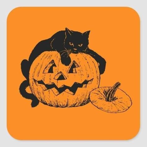 Cat In Pumpkin Drawing, Cat In Pumpkin, Cat Pumpkin Carving, Cat Resting, Pumpkin Squares, Cat And Pumpkin, Pumpkin Tattoo, Pumpkin Drawing, Halloween Wallpaper Backgrounds