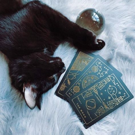 pinterest: @afraser1106 Witchcraft Aesthetic, Magic Aesthetic, Witch Cat, Modern Witch, Tangle Patterns, A Black Cat, Season Of The Witch, Witch Aesthetic, Witchy Woman