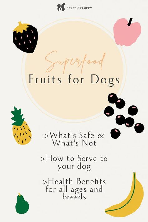 What are the healthiest fruits dogs can eat? Here's our top 10!If you’ve ever asked yourself ‘what fruit can dogs eat?’ – you’re certainly not alone! With the addition of fruity friends to your dog’s belly, you can help nourish your best friend from the inside out. From strawberries to bananas we’ve chosen 10 of our favourite superfood fruits for dogs that have excellent health properties, and are completely safe fruits for your dog to eat. Superfood Fruits, Fruit Dogs Can Eat, Can Dogs Eat Apples, Can Dogs Eat Blueberries, Can Dogs Eat Bananas, Can Dogs Eat Strawberries, Fruits For Dogs, Living With Dogs, Dog Treats Homemade Recipes