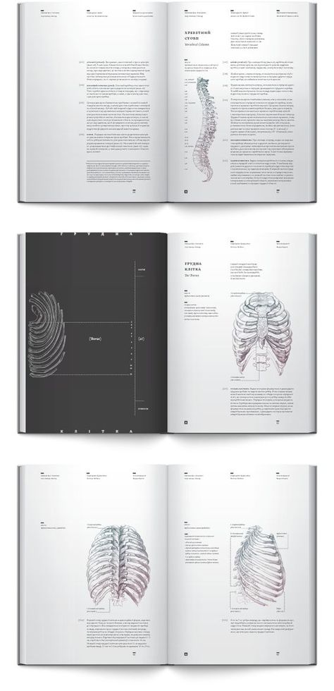 Anatomy Books, Design De Configuration, Minimal Book, Anatomy Book, Book Editorial Design, Mises En Page Design Graphique, Editorial Design Layout, Graphisches Design, Book Editorial