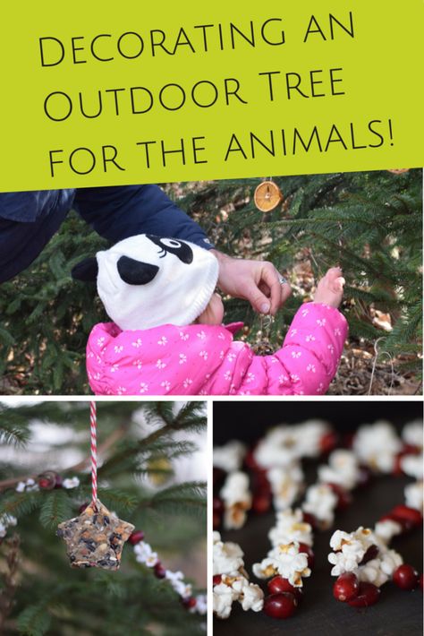 Decorating an Outdoor Edible Tree for the Animals - Wilder Child Edible Ornaments, Lantern Walk, Outdoor Tree Decorations, Christmas Outdoors, Woodland Tree, Outdoor Christmas Tree, Outdoor Trees, Backyard Birds, Winter Solstice