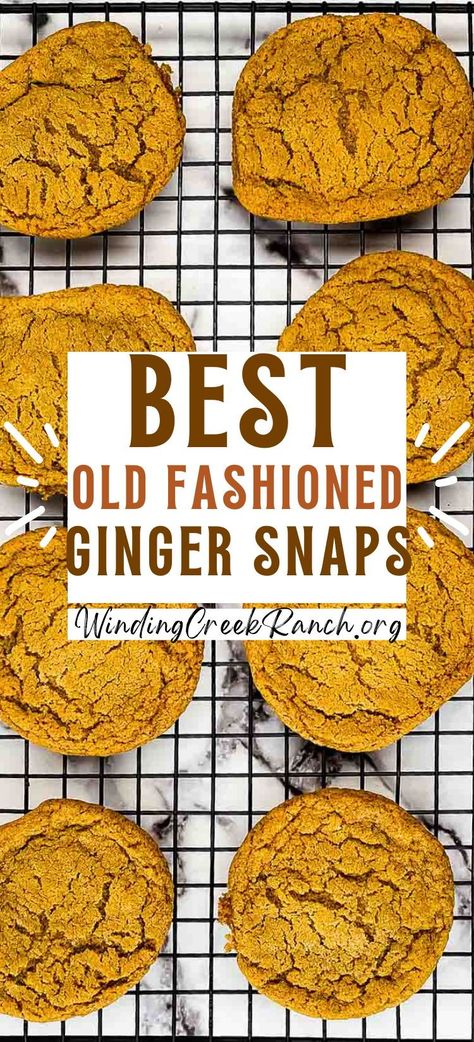 Bake the best old-fashioned ginger snaps with a soft and chewy texture. These cookies are full of traditional flavor and perfect for the holiday season! Best Ginger Snap Cookies, Soft Chewy Ginger Snap Cookies, Ginger Snap Cookies Chewy, Soft Ginger Snap Cookies, Chewy Ginger Snaps, Christmas Ginger Cookies, Ginger Cookies Christmas, Ginger Snap Cookies Recipe, Soft Ginger Cookies