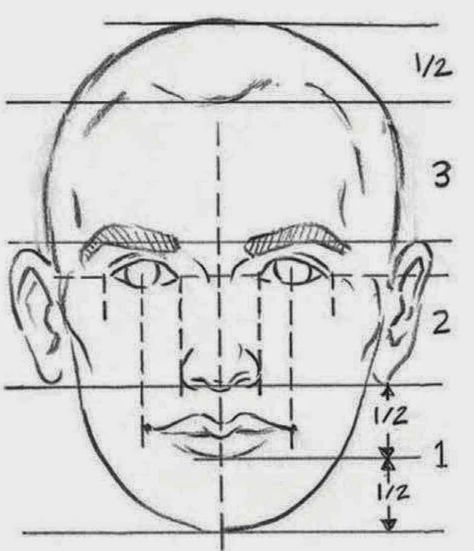 DEVELOPING A PORTRAIT  Drawing a person really is no different than drawing anything else. A human face has contours just like a landscape,... Drawing Proportions, Portrait Au Crayon, Facial Proportions, Face Proportions, Draw Faces, 얼굴 드로잉, Drawing Tutorial Face, 얼굴 그리기, Drawing Heads