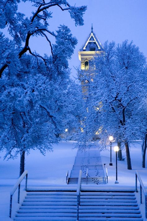 College Vision Board, Utah State University, Logan Utah, Utah State, Winter Solstice, Winter Scenes, Marina Bay Sands, Dream Life, Beautiful Homes