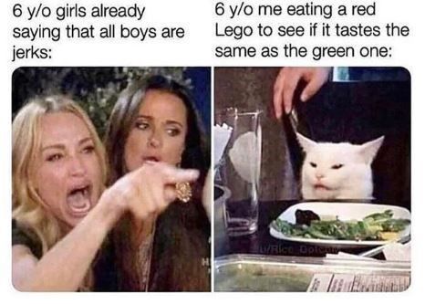 'Two Women Yelling At A Cat' Memes Are Overly Aggro - Memebase - Funny Memes Insta Memes, Lol Memes, Kpop Meme, Memes Br, 웃긴 사진, Memes Humor, Leicester City, Meme Template, Laughing So Hard