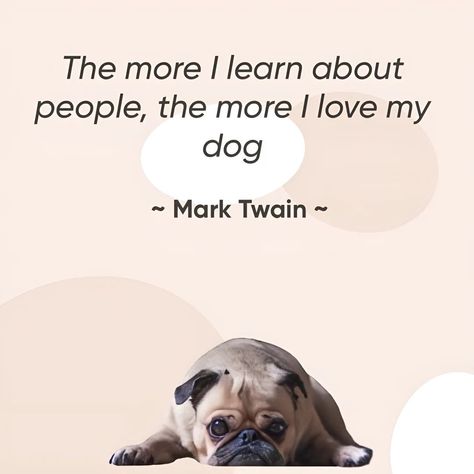 The more I learn about people... well, let’s just say my dog’s my favorite company. 🐶✨ #DogMom #DogDad #LoveMyDog #DogPerson #GoodLeos #DogLover #PetLife #LifeWithDogs #DogMomLife #DogDadLife #DoggyLove #DogsOfInstagram #PuppyLove #PetParent #DogsAreFamily #MansBestFriend #DogVibes #PetLovers #AnimalLover #DogsMakeMeHappy #DogPerson #LoveMyPup About People, Pet Life, Pet Parent, Mans Best Friend, My Dog, Dog Person, Make Me Happy, I Love Dogs, Puppy Love