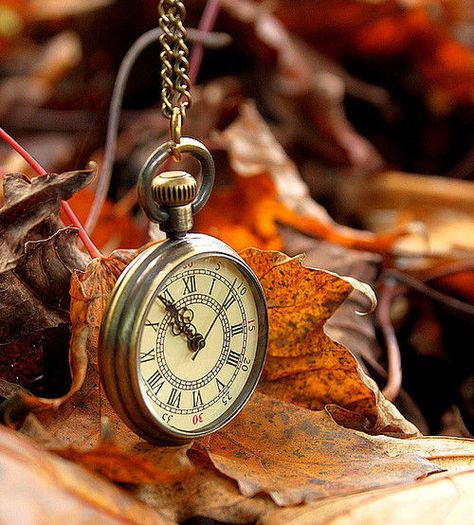 ...☆... . --------------------------------- Old Pocket Watches, Raindrops And Roses, Antique Pocket Watch, Old Clocks, Clock Art, Tick Tock, Perfect World, Pocket Watch, Autumn Leaves