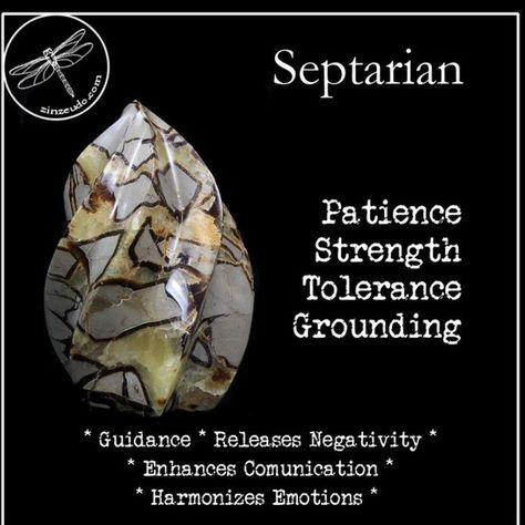 Septarian Crystal Meaning, Septarian Stone Meaning, Brown Crystals, Septarian Stone, Root Chakra Stones, Crystal Power, Crystal Guide, Ocean Floor, Crystals Healing Properties