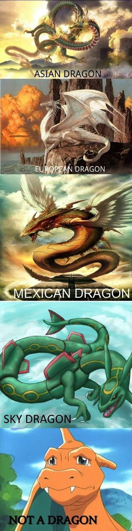 Settling the Dragon Debate once and for all. Quetzalcoatl Art, Pokemon Mew, Asian Dragon, Pokemon Memes, Pokemon Funny, Dragon Pictures, Dragon Artwork, Mythical Creatures Art, Mythological Creatures