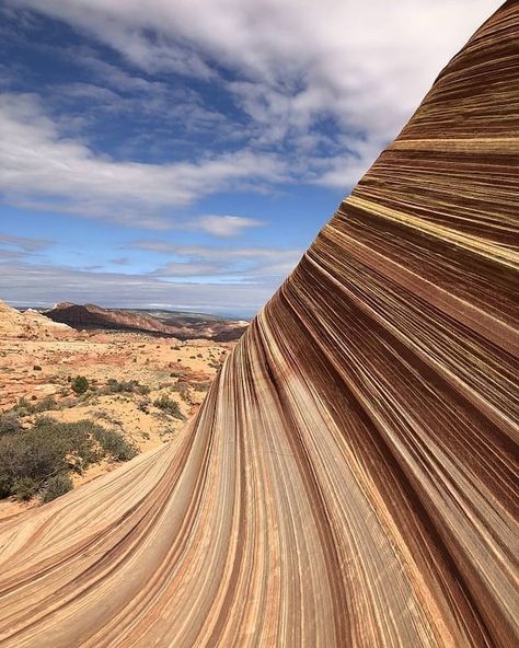 Sandstone strata - Coyote Buttes, Arizona. In geology, a stratum (plural: strata) is a layer of sedimentary rock or soil, or igneous rock that were formed at the Earth's surface, with internally consistent characteristics that distinguish it from other layers. The "stratum" is the fundamental unit in a stratigraphic column and forms the basis of the study of stratigraphy. Each layer is generally one of a number of parallel layers that lie one upon another, laid down by natural processes.