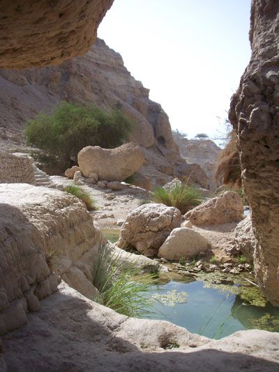 Hiking at En Gedi Land Painting, Ein Gedi, Mount Of Olives, Living In Europe, Promised Land, Holy Land, Natural Environment, Historical Sites, Happy Places