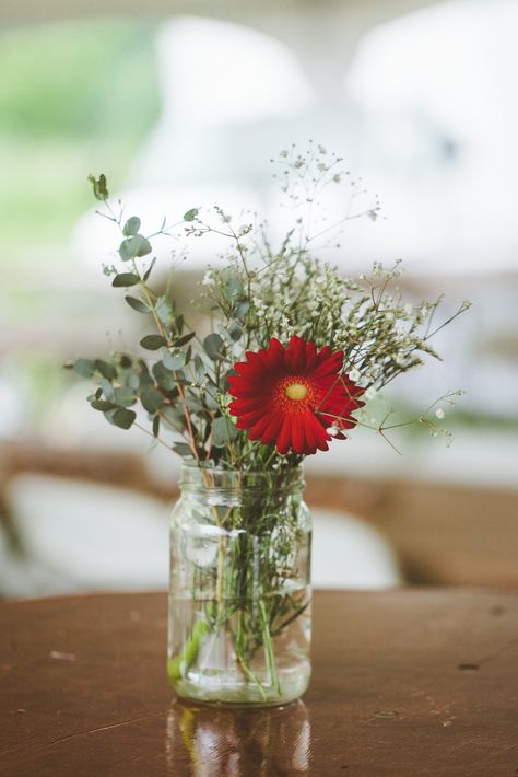 Daisy Table Centerpieces, Mum Centerpiece Wedding, Daisy Wedding Centerpieces, Gerbera Daisy Centerpiece, Gerber Daisy Bouquet, Red Gerbera Daisy, Gerbera Daisy Wedding, Gerbera Daisy Bouquet, Daisy Centerpieces