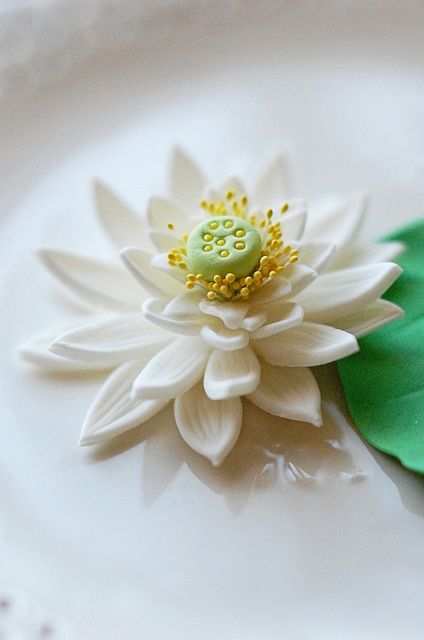 water lily by L' Atelier Vi, via Flickr Air Dry Clay Lily Pad, Water Lily Cake Design, Fondant Lily Pads, Ceramic Lily Pad, Lily Polymer Clay, Lotus Cake, Lily Cake, Cake Decorating Icing, Polymer Flowers