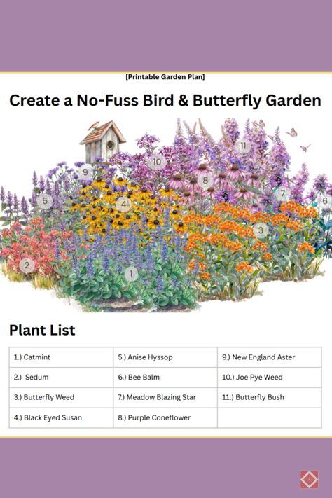 Transform your outdoor space into a butterfly haven with this beautiful garden design plan! Discover the best plants and layout tips to attract and nurture these stunning pollinators. 🌷🌿 Whether you're a seasoned gardener or just starting out, this guide has everything you need to create a vibrant, butterfly-friendly garden. #ButterflyGarden #GardenDesign #NatureLovers Butterfly Perennial Garden, Garden For Butterflies, Bee Garden Plan, Native Garden Front Yard, Butterfly Garden Backyard, Yard To Garden Transition, Wildflower Garden Design Layout, Monarch Butterfly Garden Design, Front Yard Butterfly Garden