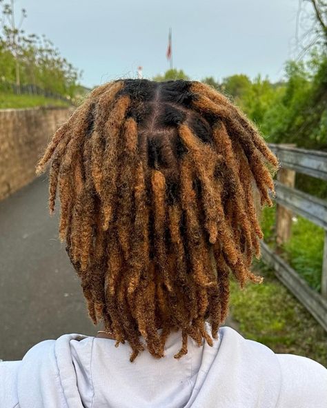 @locstarnae Honey Brown Dreads, Honey Brown Locs, Ginger Locs, Brown Dreads, Locs Journey, Dread Locks, Black Hairstyle, Loc Inspiration, Loc Hairstyles