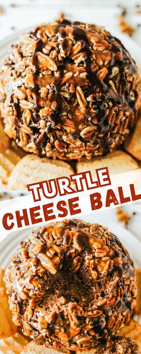 This CHOCOLATE TURTLE CHEESE BALL is the perfect dessert for holidays, parties or potlucks. A sweet chocolate cheese ball coated with pecans, mini chocolate chips and caramel sauce. Turtle Cheese Ball, Cheese Ball Recipes Dessert, Reeses Cheese Ball, Dessert Cheese Balls, Sweet Cheese Ball, Desert Cheeseball, Cheese Ball Sweet, Dessert Cheeseball, Holiday Cheese Ball Recipes