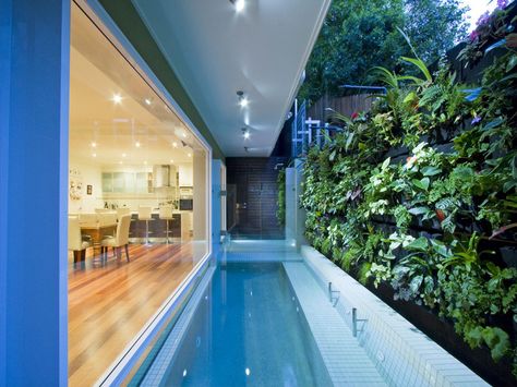 Small Lots & Boundary Pool Issues - No Problem - Call Rogers Pools in Brisbane Pool On A Slope, Backyard Pool Ideas, Backyard Pool Design, Semi Inground Pools, Architecture Design Process, Brighton Houses, Pool House Designs, Pool Landscape Design, Small Pool Design