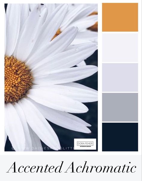 Colour Scheme Accented Achromatic Colour Scheme, Achromatic Colour Scheme, Colour Schemes, Colour Scheme, Color Schemes, Interior Design, Color, Design