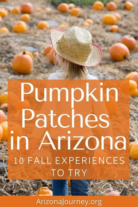 Where to find the best pumpkin patch in Arizona: 11 festive fall spots | Arizona Journey Places To Go In Arizona, Phoenix Things To Do, Things To Do In Arizona, Travel Arizona, Pumpkin Varieties, Best Pumpkin Patches, Family Friendly Games, Arizona Adventure, Arizona Road Trip