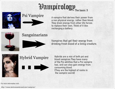 Describes the three main types of vampires: Psi, Sanguinarians, and Hybrid. Types Of Werewolves, Vampire Mythology Facts, Facts About Vampires, Vampire Werewolf Hybrid Art, Vampire Hierarchy, Vampire Information, Vampire Abilities List, Different Types Of Vampires, Vampire Traits