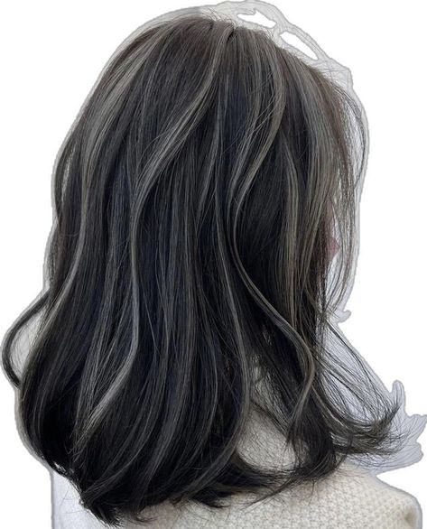 Black Hair With Grey Highlights, Black Hair With Lowlights, Highlight Hair Dye, Cold Hair, Skunk Hair, Highlight Hair, Medium Length Hair Hairstyles, For Medium Length Hair Hairstyles, Hair Dye Ideas