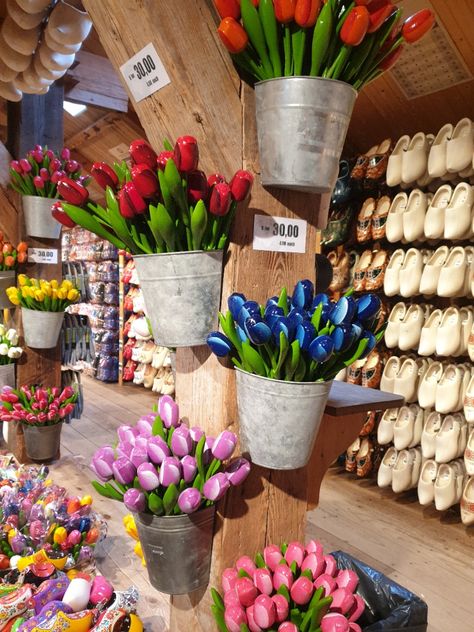 wooden tulips in amsterdam Tulips In Amsterdam, Wooden Tulips, Study Abroad, Travel Inspiration, Tulips, Amsterdam, Pinterest Likes, Flowers, Travel