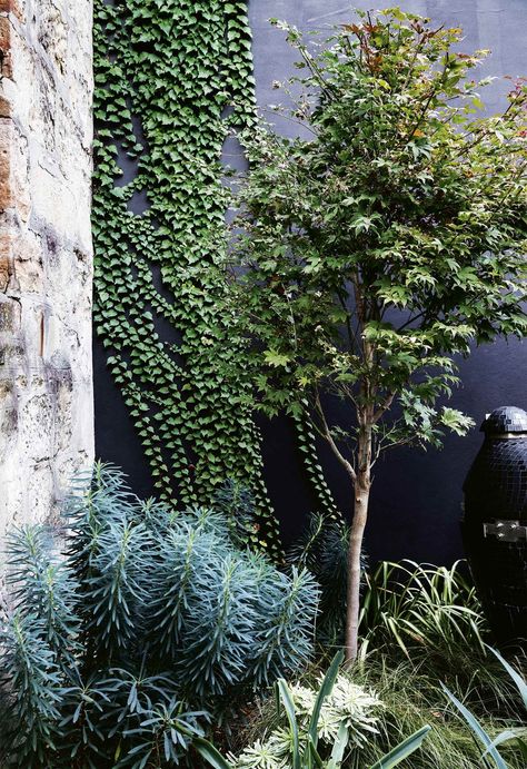 Small Courtyard Garden, Exterior Garden, Small Courtyard, Sandstone Wall, Small Courtyard Gardens, Homes To Love, Cottage Garden Design, Small Courtyards, Garden Life