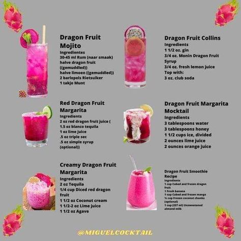 Dragon Fruit Cocktail, Dragon Fruit Smoothie Recipe, Dragon Fruit Drink, Dragonfruit Recipes, Bartender Drinks Recipes, Christmas Drinks Alcohol, Dragon Fruit Smoothie, Fun Drinks Alcohol, Bartender Drinks