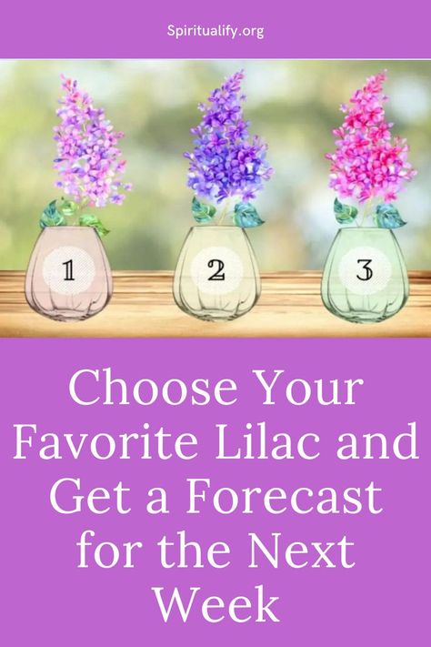 Choose Your Favorite Lilac and Get a Forecast for the Next Week Lilac Branch, Trust Your Intuition, Free Your Mind, Spiritual Path, One Image, Pick One, Next Week, Lilac, Meant To Be