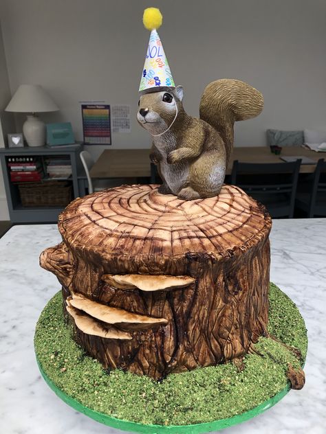 Squirrel Cake Birthday, Edible Moss, Hunting Birthday Cakes, Squirrel Cake, Squirrel Birthday, Owl Themed Birthday Party, Snow Necklace, Tree Stump Cake, Horse Birthday Cake