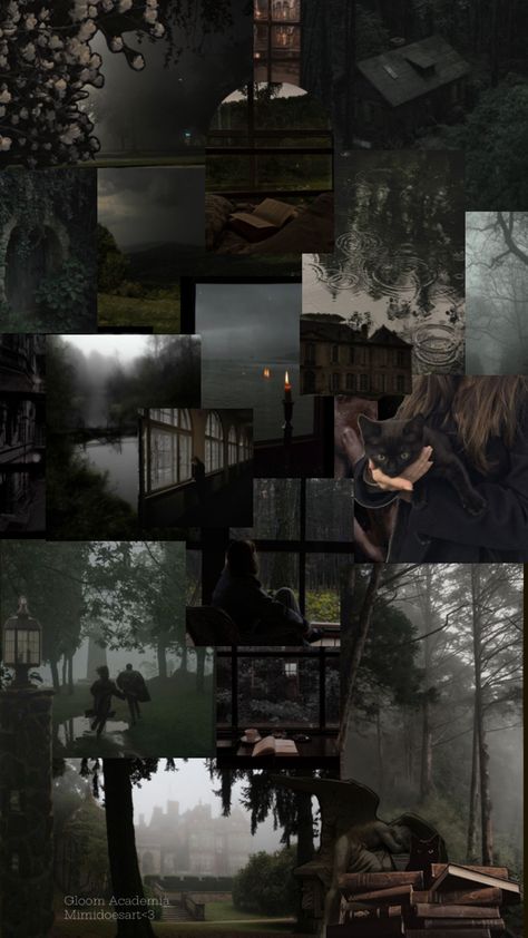 #gloomcore #academia #rain #dark Moody Weather Aesthetic, Grey Aesthetic Vintage, Maddie Core Aesthetic, Dark Rain Aesthetic, Rain Collage, Forest Academia, Aesthetics Study, Dark Academia Collage, Dark Academia Green