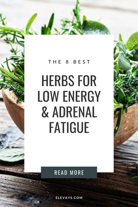 Tincture Recipes For Energy, Natural Herbs For Energy, Herbs For Adrenal Support, Herbs For Fatigue, Herbs For Adrenal Fatigue, Herbs For Thyroid Health, Herbs For Energy Boost, Herbs For Motivation, Adrenal Fatigue Essential Oils