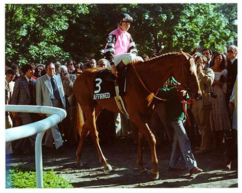 Affirmed 1978 Belmont Stakes Belmont Stakes, Two Year Olds, Horse Racing, Horses, Animals