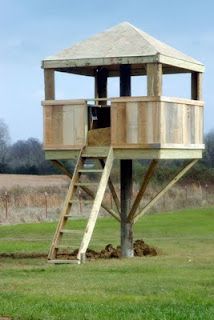 *Treeless treehouse made with a telephone pole Telephone Pole Tree House, Telephone Pole Ideas, Treeless Treehouse, Hunting Stands, Telephone Pole, Pole House, Deer Blind, Building A Treehouse, Tree House Plans