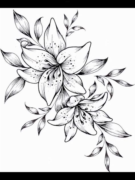 Lily Vine Tattoo Design, Lillie Tattoos For Women, Tiger Lily Tattoo Stencil, Tiger Lilly Tattoo Design, Roses And Lilies Tattoo, Black And White Lily Tattoo, Lily Outline Tattoo, Tiger Lily Flower Drawing, Tiger Lilly Drawing