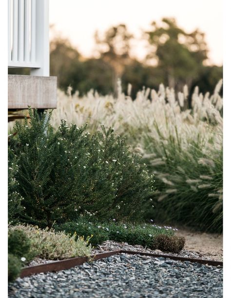 Cow Paddock, Queensland Garden, Timber Planters, Australian Garden Design, Australian Country, Australian Native Garden, Australian Garden, Farm Garden, Most Beautiful Gardens