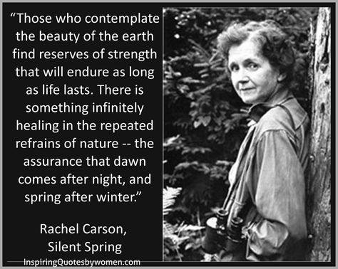 “Rachel Carson was a marine biologist, environmentalist and writer who alerted the world to the environmental impact of fertilizers and pesticides.” Biography.com Healing Power Of Nature Quotes, Biologist Quotes, Rachel Carson Quotes, Healing Power Of Nature, Patience Quotes, Rachel Carson, Guy Ritchie, World Quotes, Marine Biologist