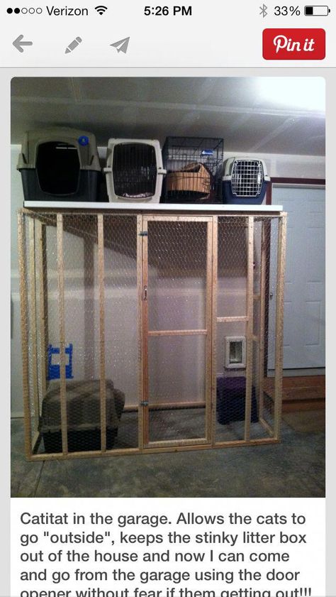 Litter Box In Garage, Cat Litter Box Enclosure, Litter Box Enclosure, Cat Enclosure, Cat Box, Outdoor Cats, Cat Room, Cat Litter Box, Cat Supplies