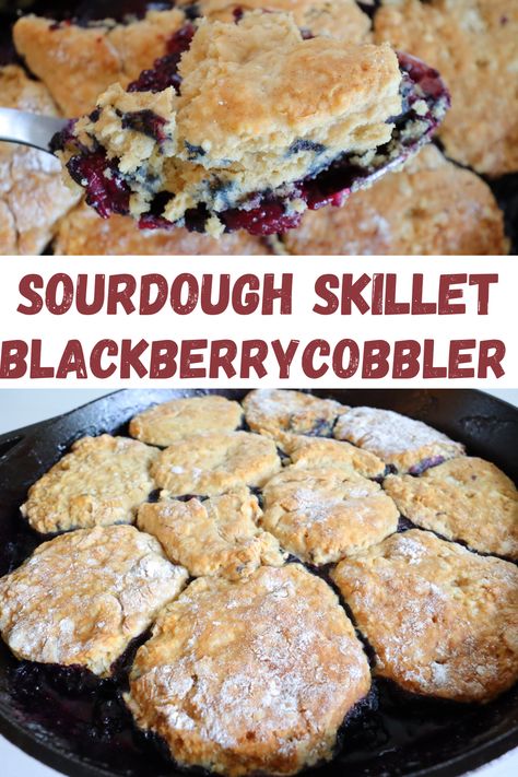 Sourdough Cobbler, Sourdough Blueberry Cobbler, Sourdough Discard Cobbler, Blackberry Cobbler For One, Sourdough Discard Blackberry Cobbler, Blackberry Sourdough Recipes, Sourdough Berry Cobbler, Sourdough Blackberry Cobbler, Sourdough Blackberry