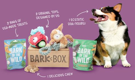 Cleaning Packaging, Dog Photography Studio, Treats Gifts, Pet Advertising, Pet Snacks, Hands Free Dog Leash, Dog Box, Dog Bakery, Monthly Box