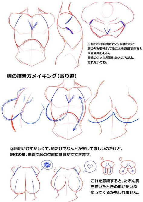 Character Anatomy, Female Anatomy Reference, Drawing Female Body, Anatomy Tutorial, Body Drawing Tutorial, Human Anatomy Art, Anatomy Sketches, Body Reference Drawing, Anatomy Drawing