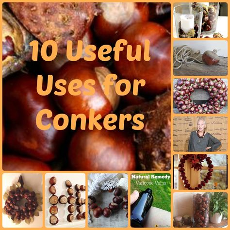 Chestnut Crafts, Conker Craft Ideas Christmas, Conker Decor, Conker Crafts, Things To Make With Conkers, Chestnut Crafts Ideas, What To Do With Conkers, Buckeye Nut Crafts Diy, Conker Decorations