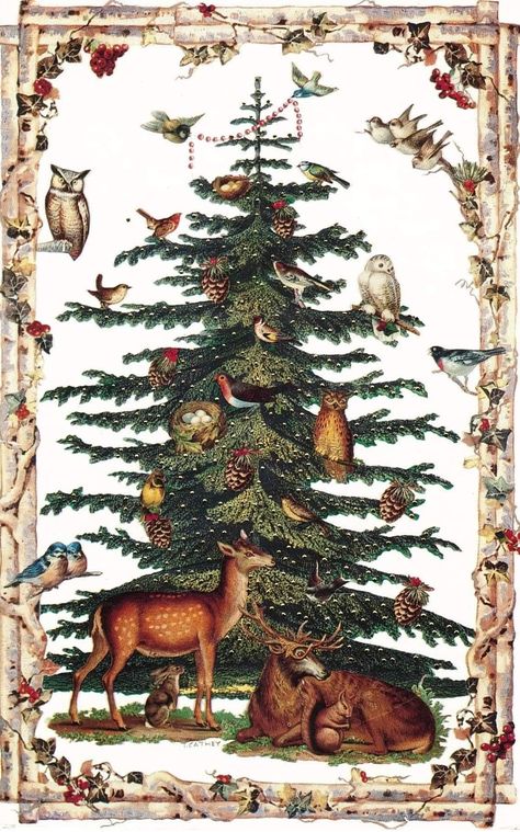 Animal Christmas Tree, Christmas Tree Illustration, Forest Christmas, Storybook Art, Vintage Christmas Images, Animal Christmas, Woodland Christmas, Tree Illustration, Christmas Drawing