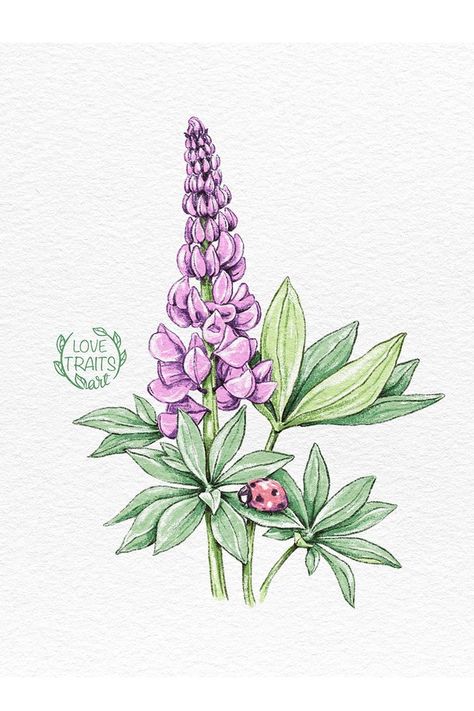 🌞🌳 Wander through nature's embrace with my lupine illustration. In a world filled with hustle, these wild blooms remind us to slow down, appreciate life's simple joys, and find solace in the arms of nature. #MeadowWander #NatureEscape #PencilArtistry Lupine Flowers, New Tattoo Designs, Flower Sleeve, Simple Joys, Watercolor Flower Art, Nature Flowers, Decorative Flowers, Digital Illustrations, Outdoor Art