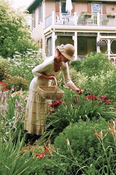 Flower Cottage, Picking Flowers, Cottage Gardens, Cozy Vibes, Country Gardening, Dream Garden, Garden And Yard, Country Life, Farm Life