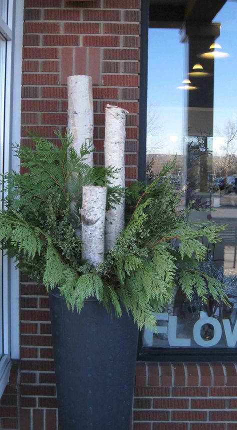 Simple planter with birch and greens! Love it!!!!                                                                                                                                                                                 More Birch Tree Decor, Front Door Planters, Christmas Urns, Outdoor Christmas Planters, Door Planter, Holiday Planter, Winter Planter, Christmas Pots, Christmas Planters